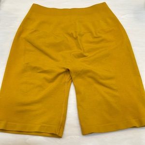 Alphalete amplify bra and bikers golden hour